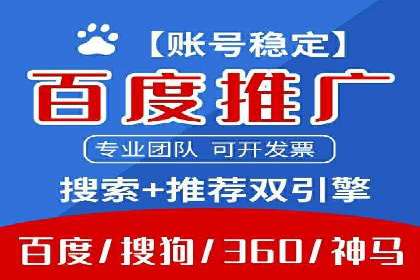SEM代理服务：助力企业精准营销案例解析